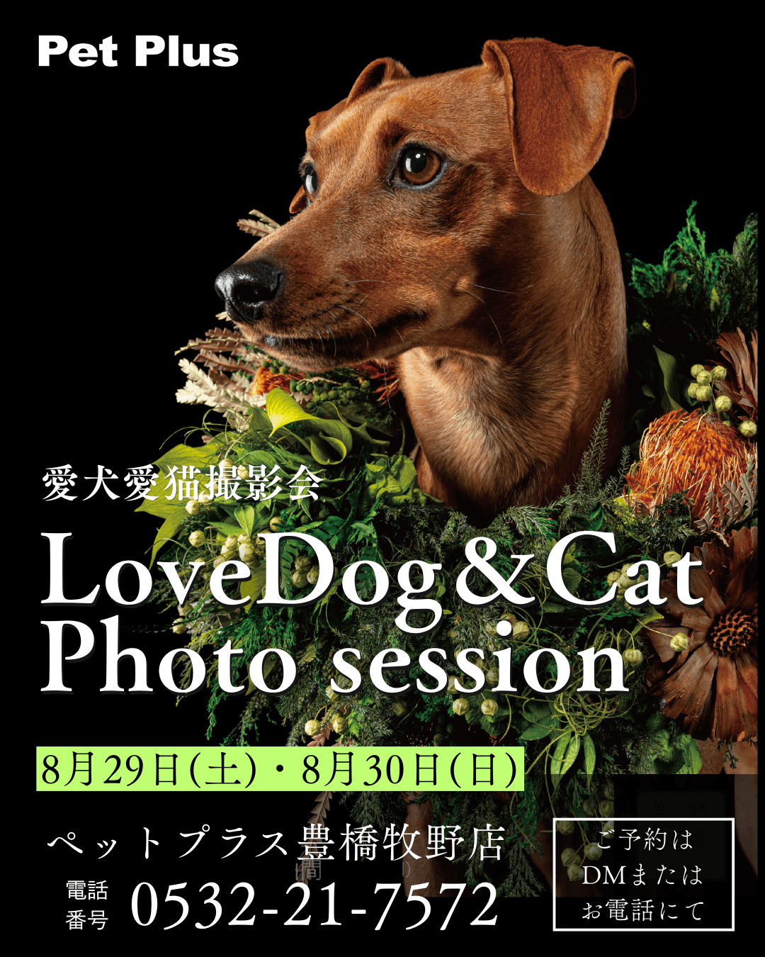 【2026年夏秋開催】愛犬愛猫撮影会「​LoveDog＆Cat  Photo session」開催のお知らせ