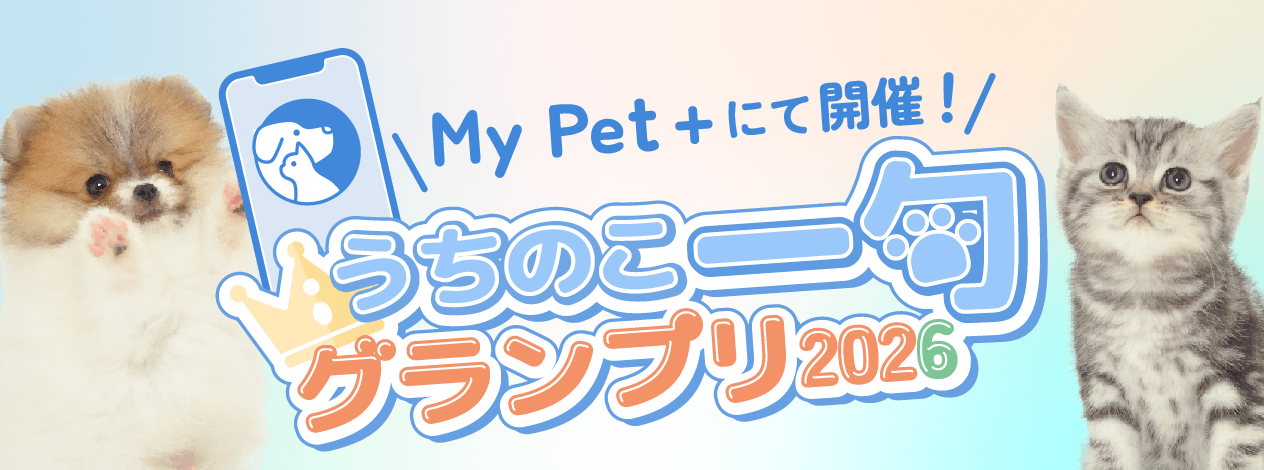 『うちのこ一句グランプリ』を開催しました！素敵な俳句をご紹介します