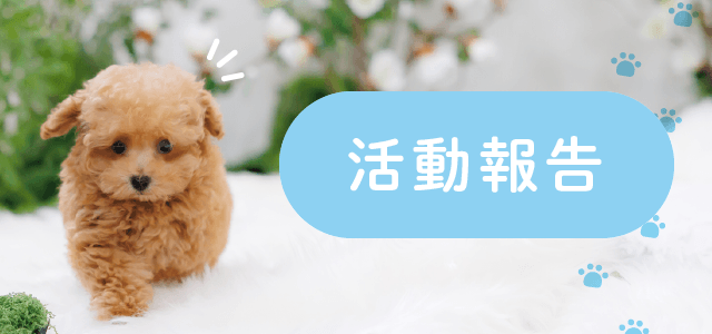 「秋のキッズフェスタ2026」人と動物の絆ブースに出展いたしました