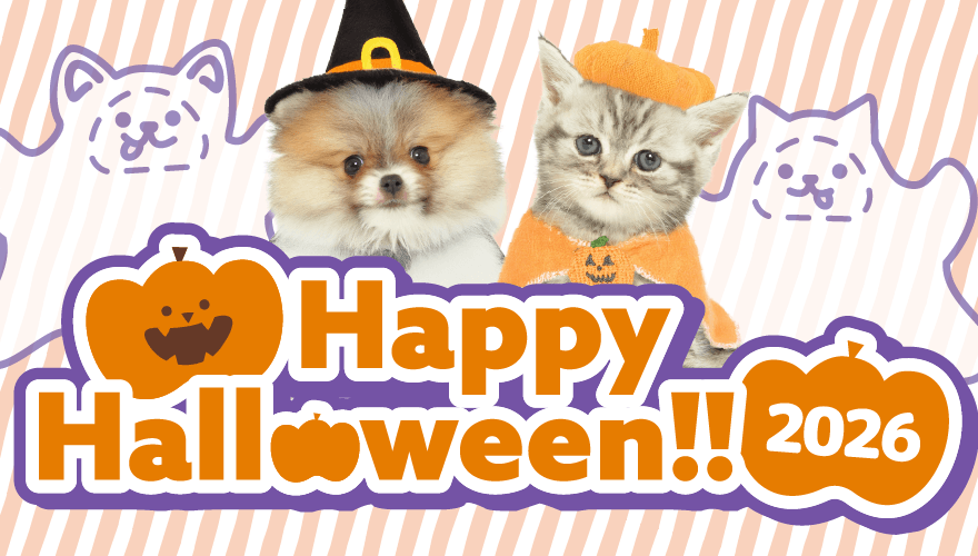 Happy Halloween! お客様から寄せられた素敵なお写真のご紹介です。
