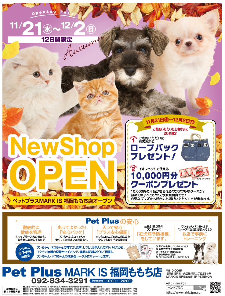 2018年11月21日（水） Pet Plus 福岡ももち店オープン！