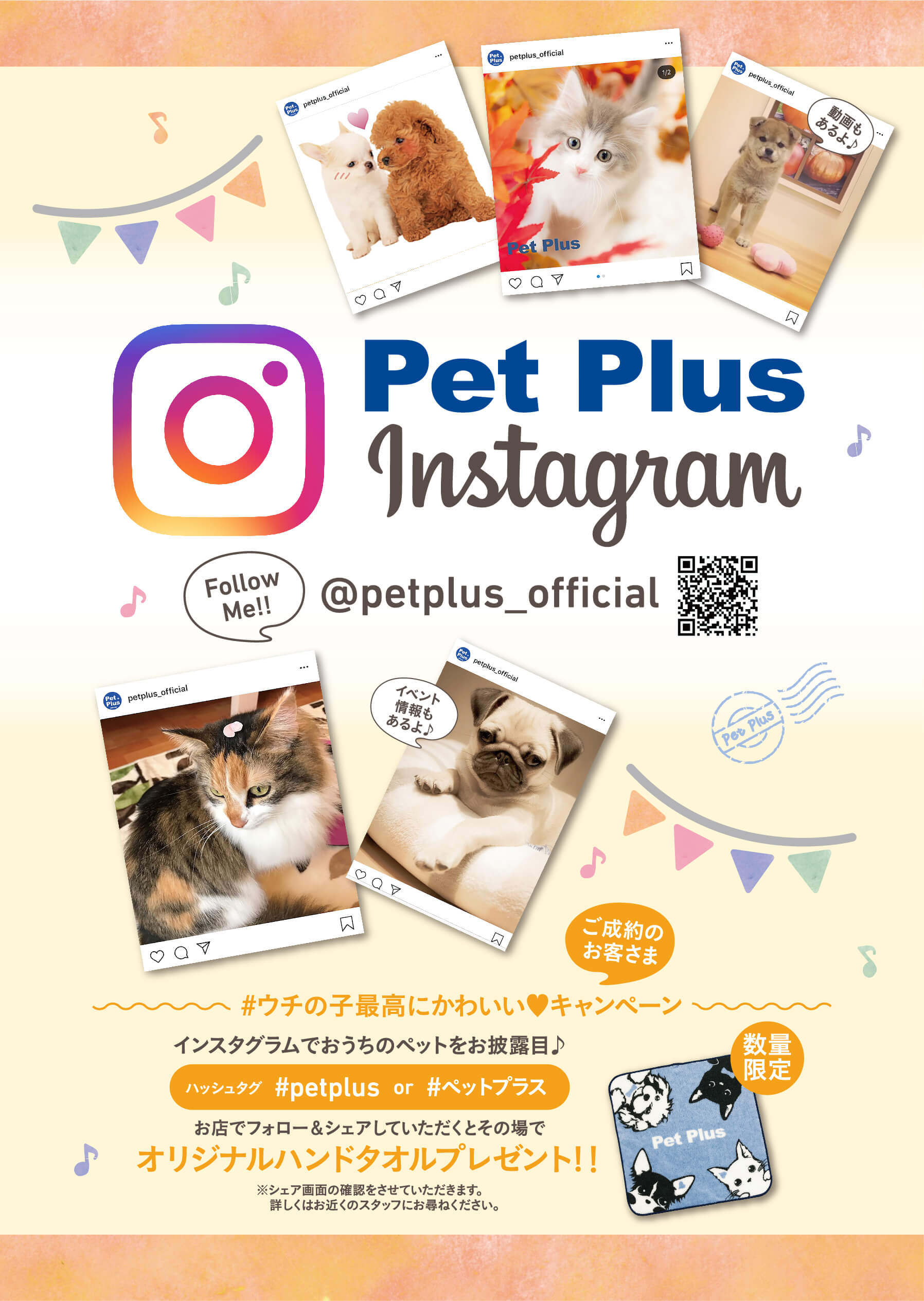 PetPlus 公式インスタグラムが出来ました！