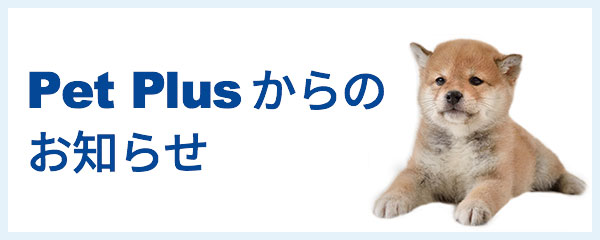 2019年12月27日 （金）PetPlus ピオニウォーク東松山店復活オープン！