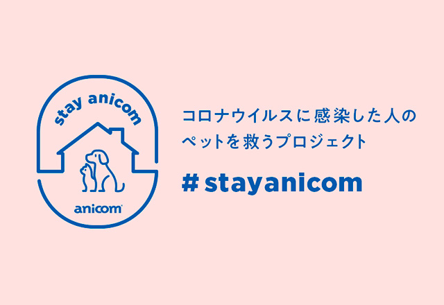 #StayAnicom プロジェクトのご紹介