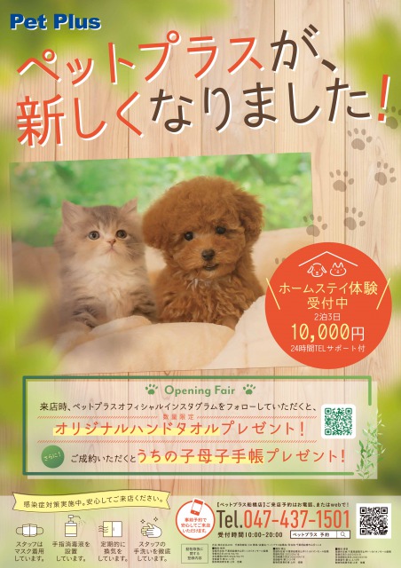 2019年9月11日（金） Pet Plus 船橋店リニューアルオープン！