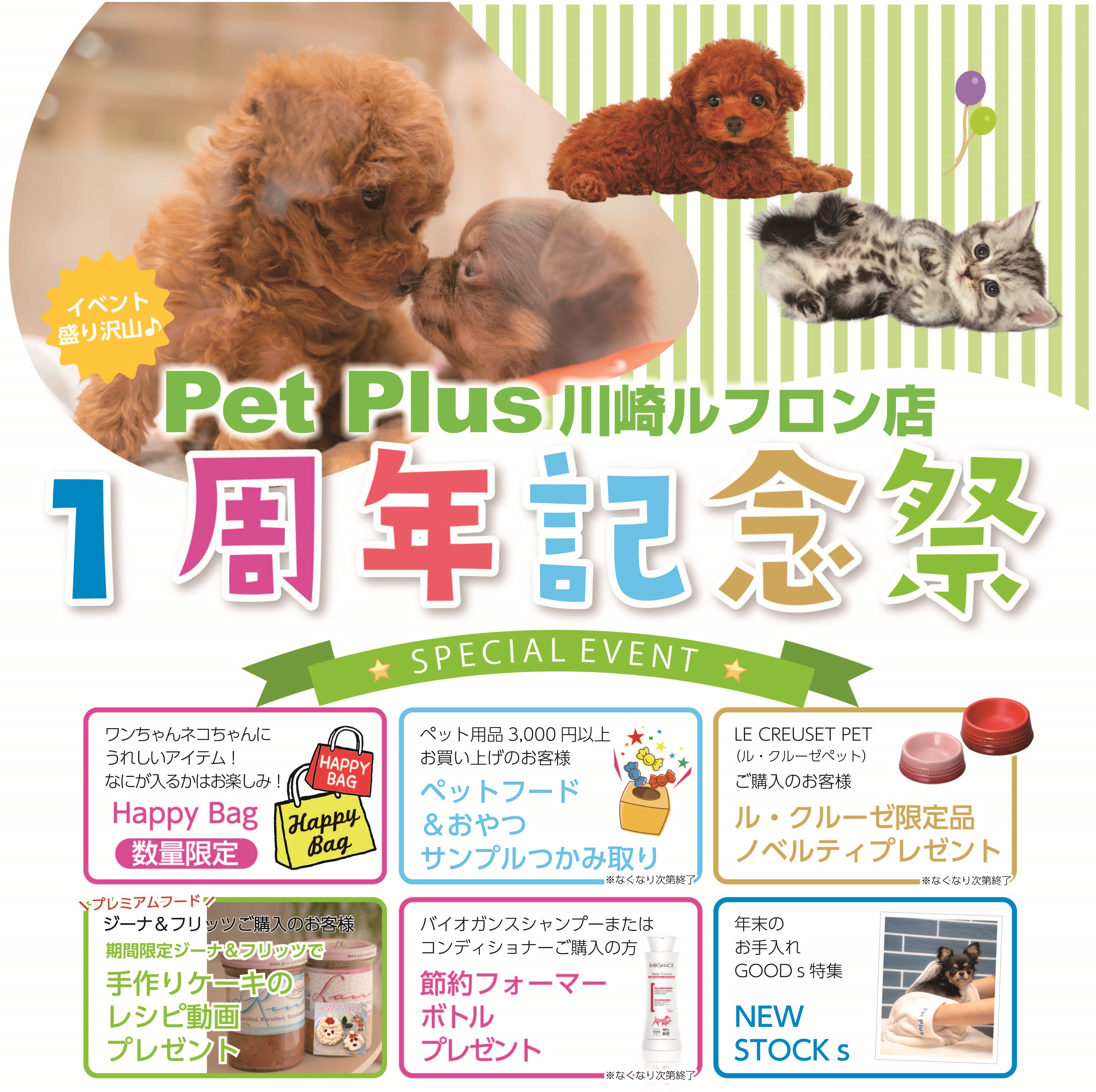ペットプラス川崎ルフロン店１周年記念祭開催！