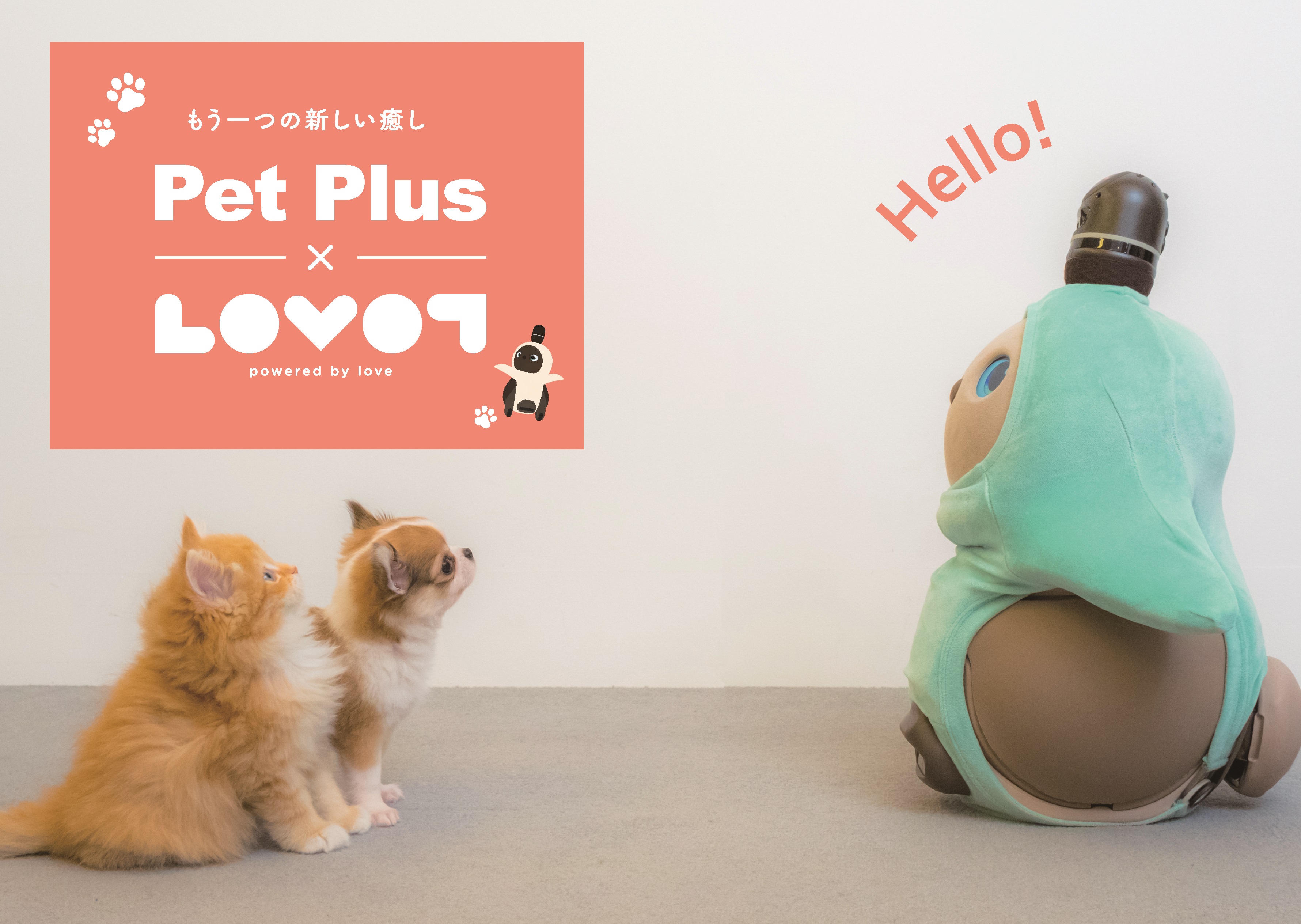 ペットプラス×LOVOT(らぼっと)のコラボ！