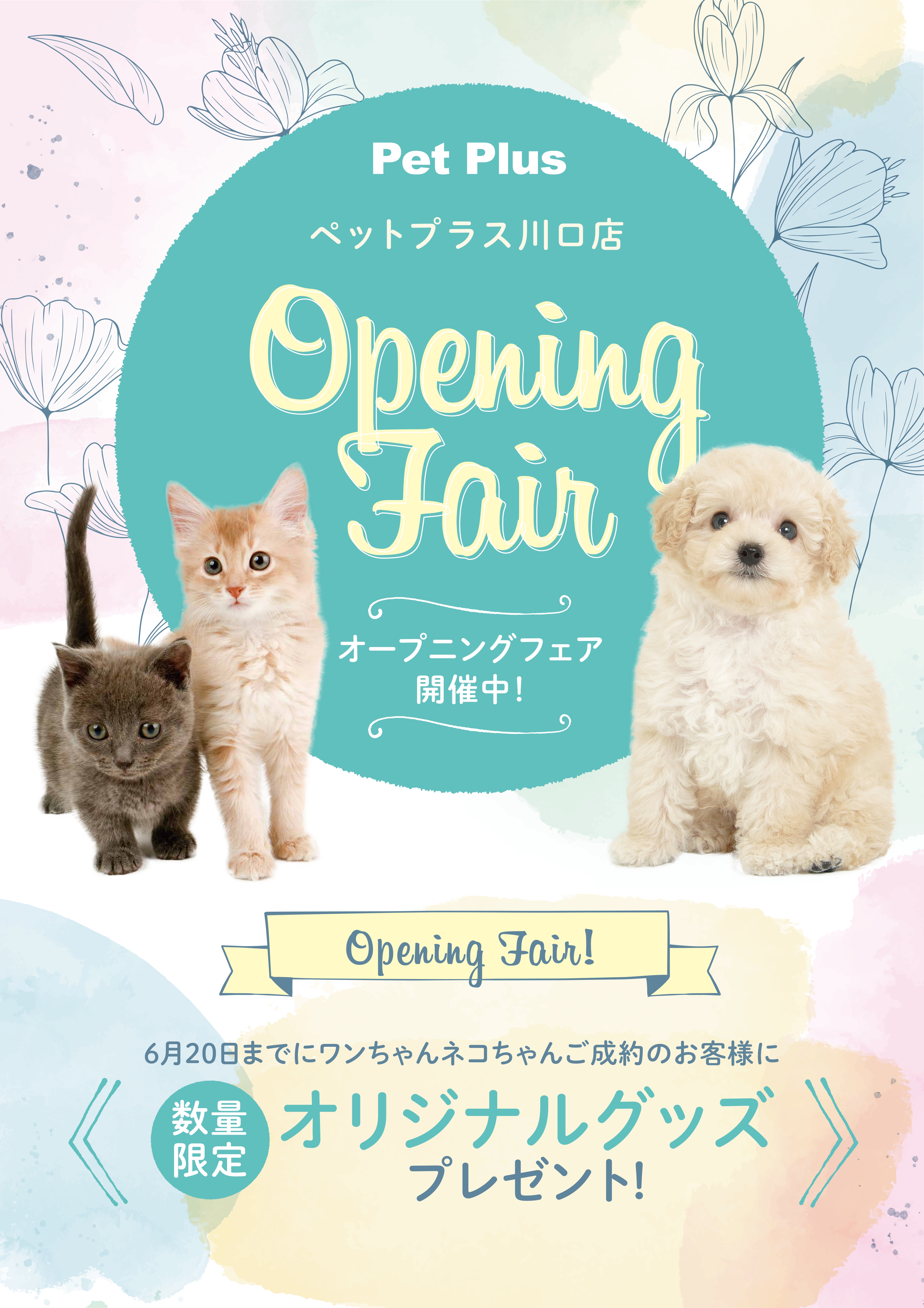 2021年5月25日（火）ペットプラス川口店 OPEN！