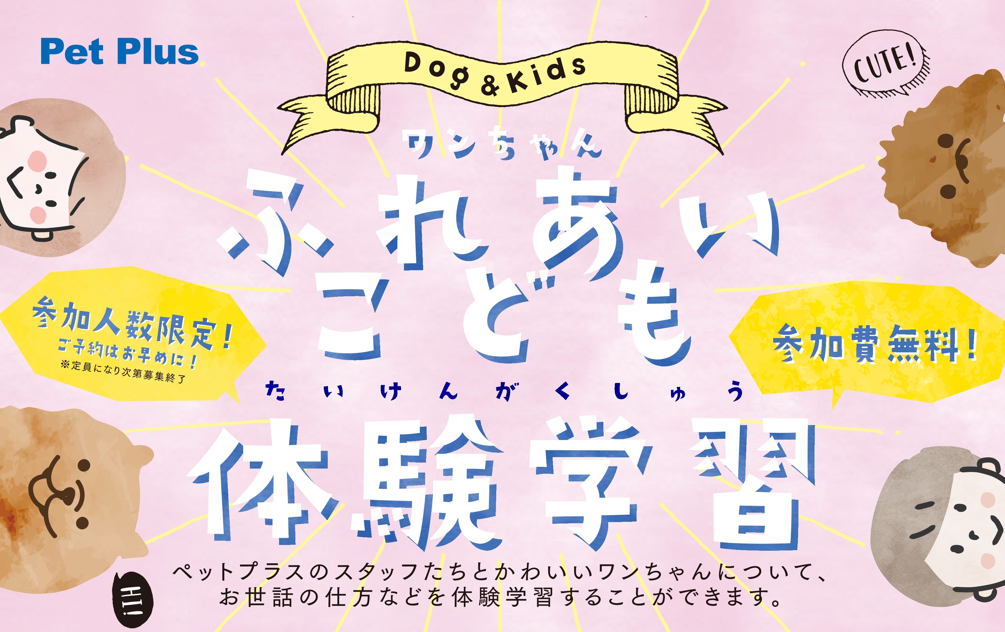 子犬 子猫専門ペットショップはpetplus ペットプラス