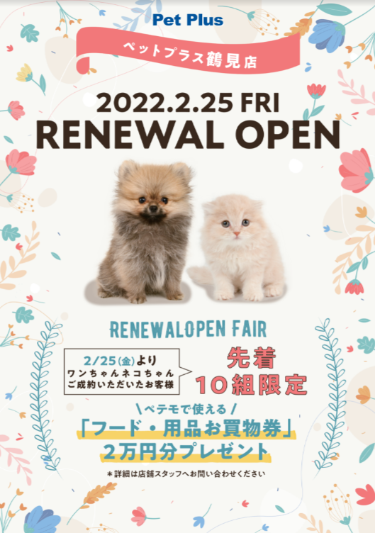 2月25日ペットプラス鶴見店リニューアルオープンします！