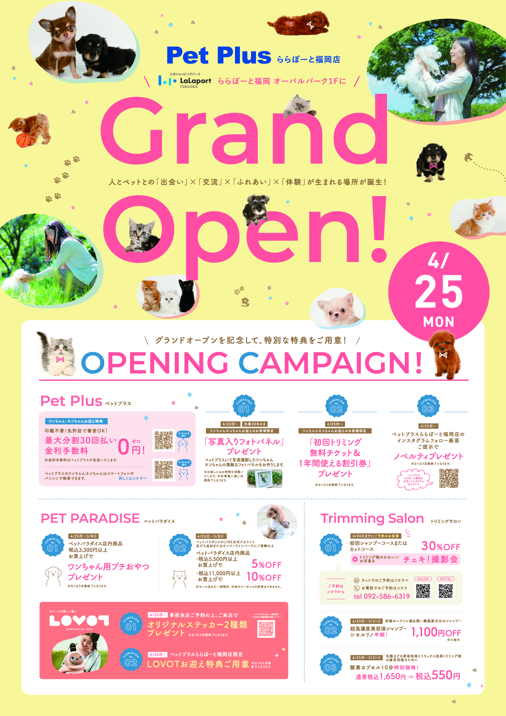 4月25日（月）ペットプラスららぽーと福岡店グランドオープン！