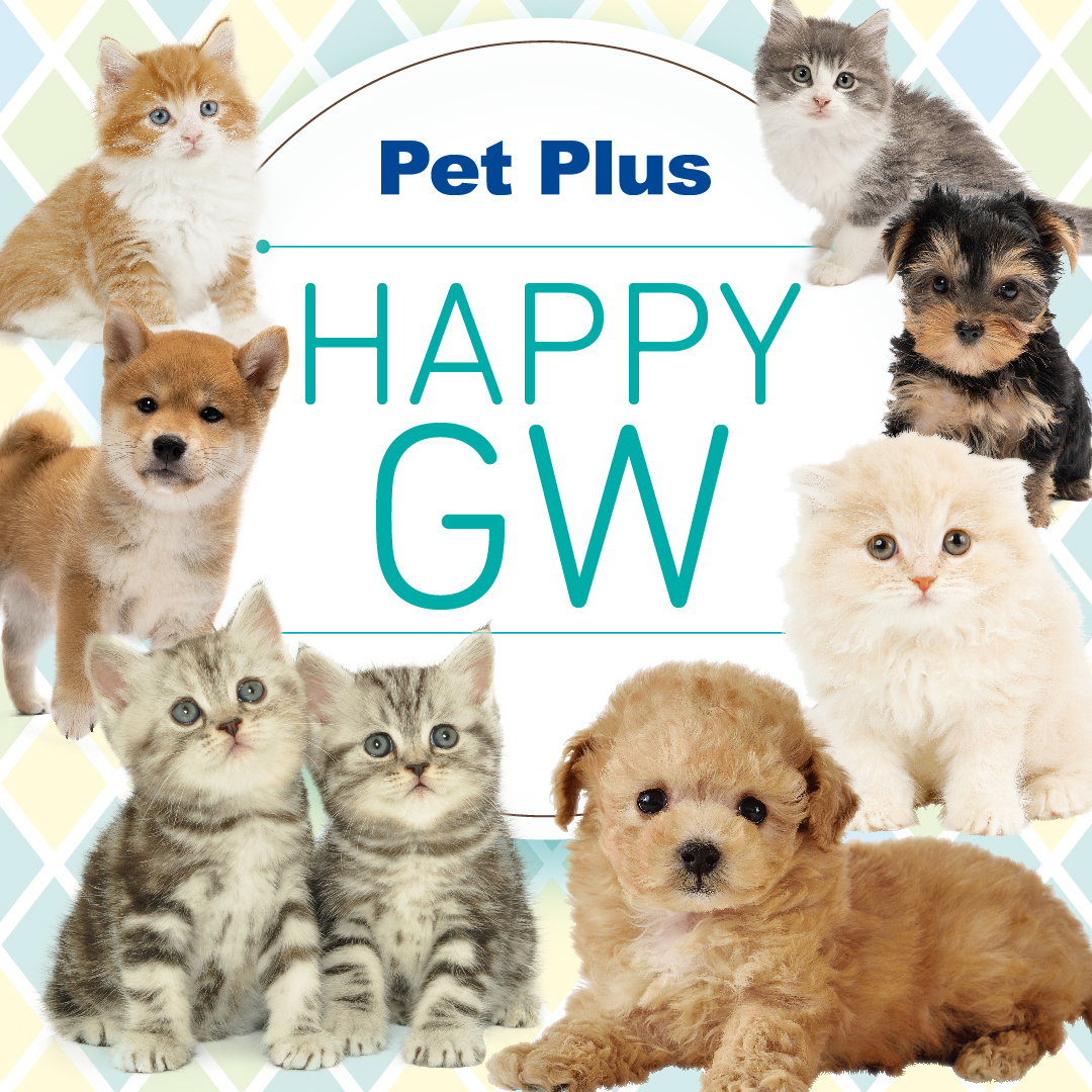 PetPlusのHAPPY GW！好評の上終了いたしました！