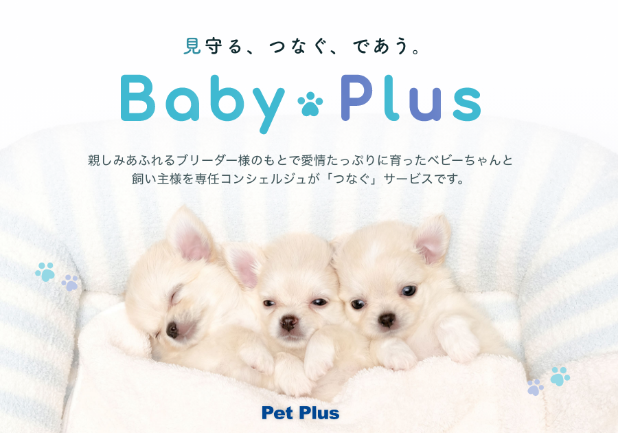 BabyPlusをリリースいたしました！