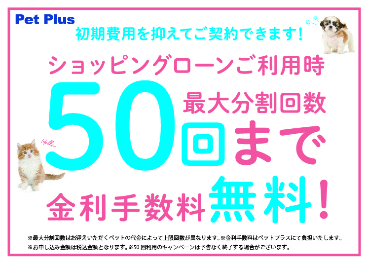 お迎えサポート特典！キャンペーンのお知らせ
