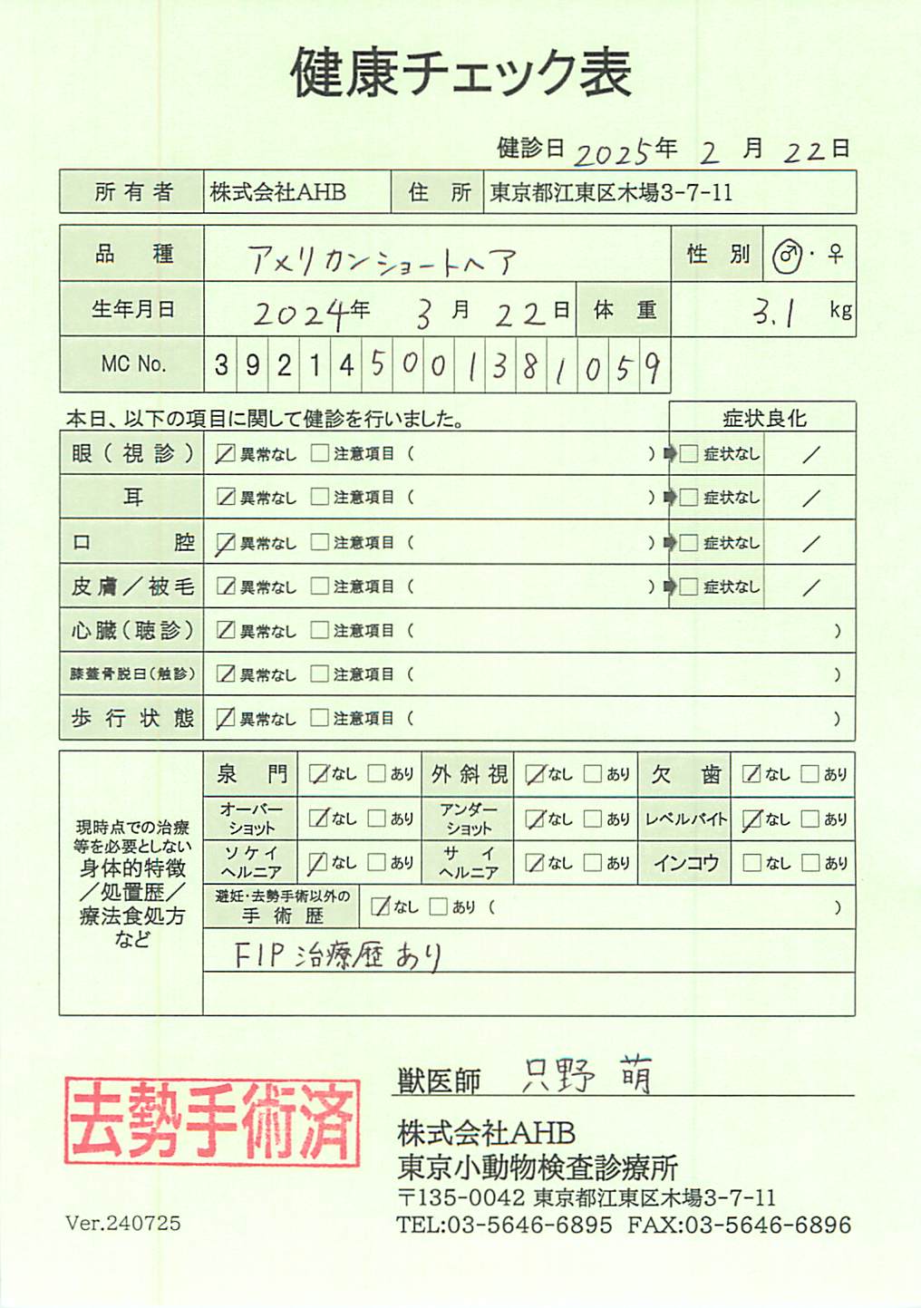 アメリカンショートヘア