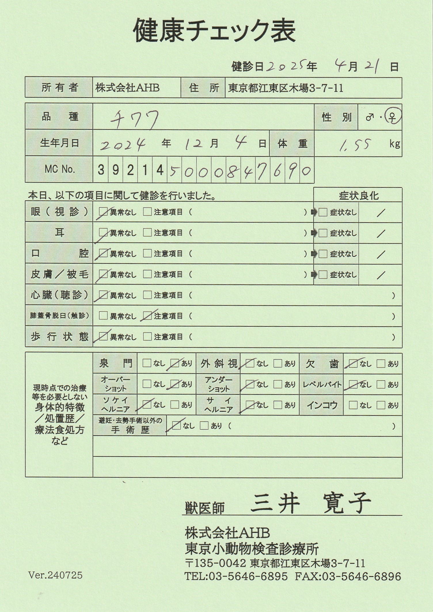 チワワ