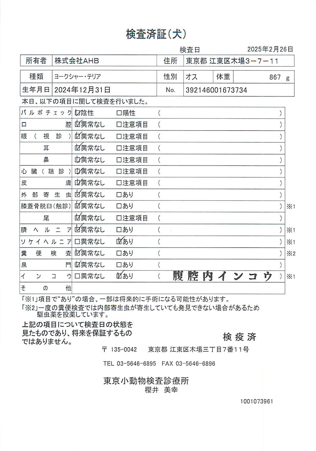 ヨークシャー・テリア