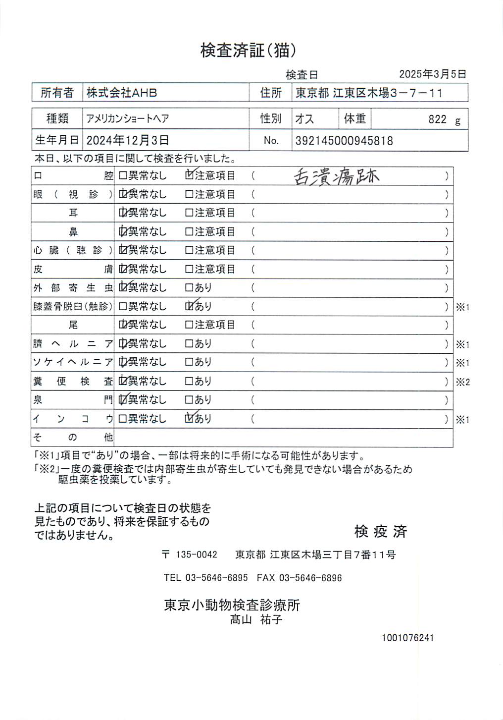 アメリカンショートヘア