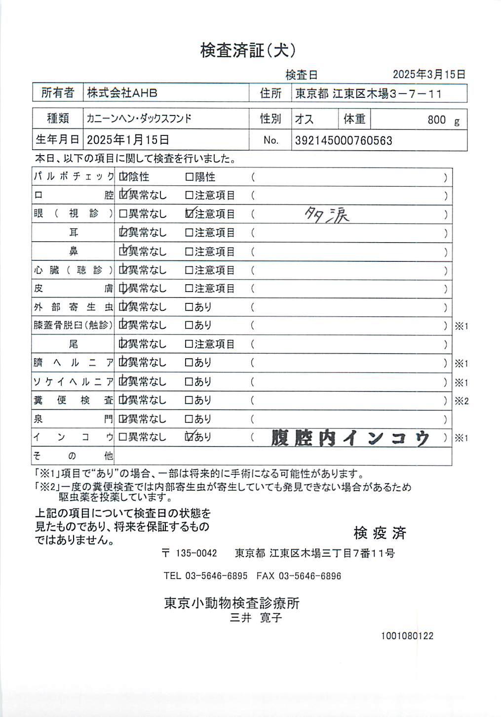 カニーンヘン・ダックスフンド