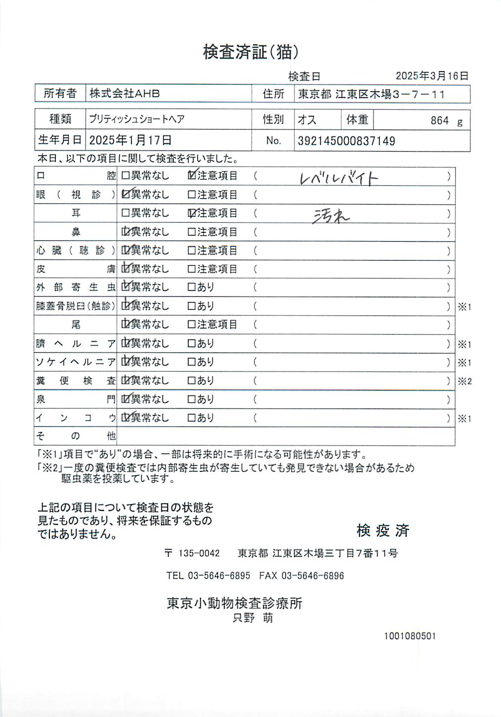 ブリティッシュショートヘア