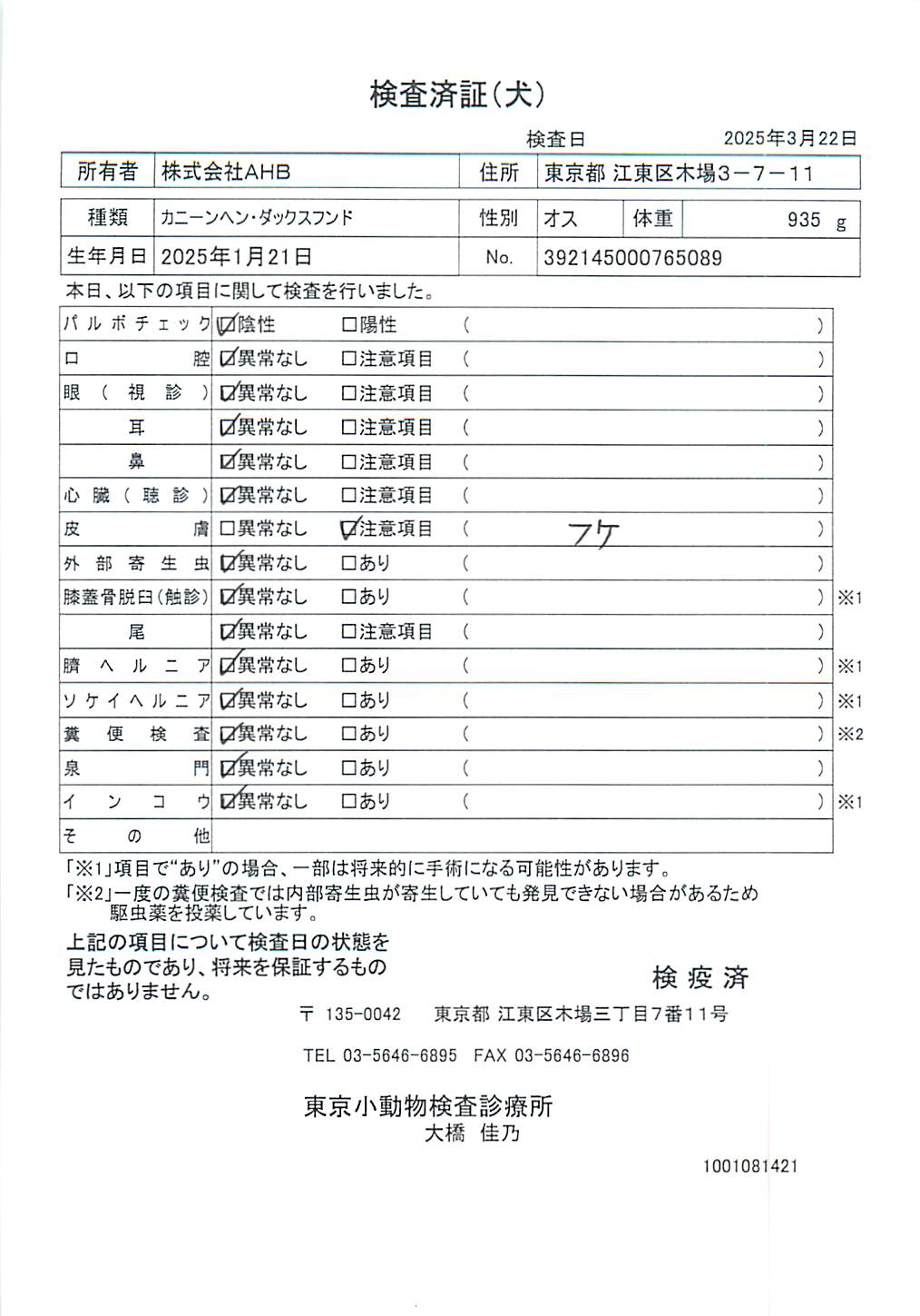 カニーンヘン・ダックスフンド