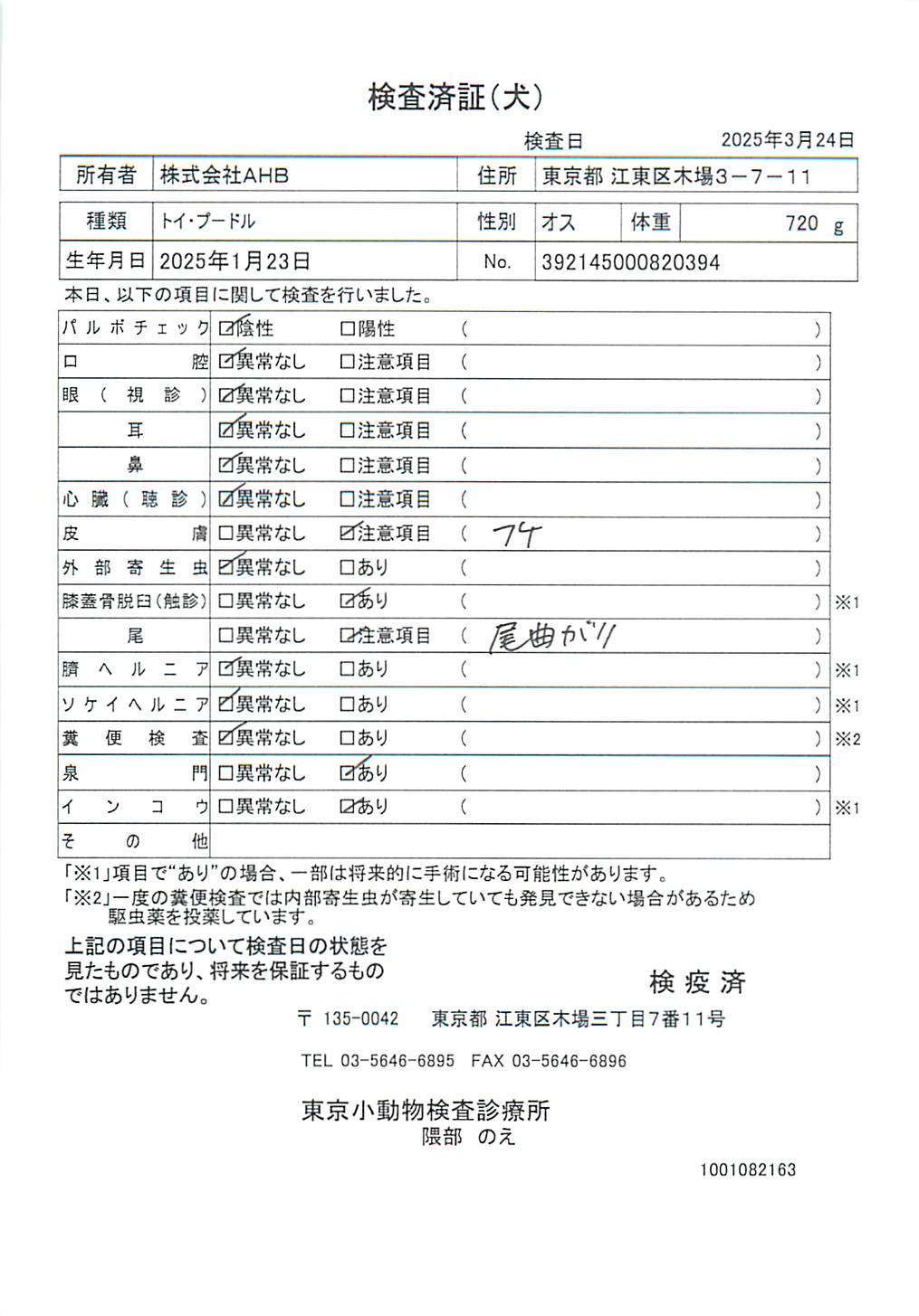 トイ・プードル