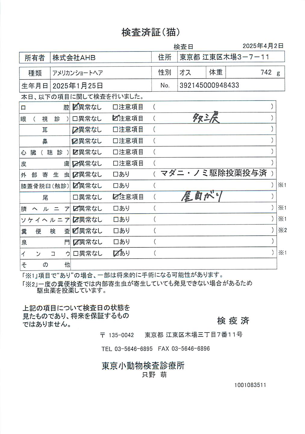 アメリカンショートヘア