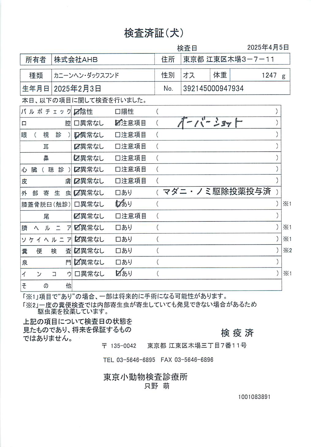 カニーンヘン・ダックスフンド