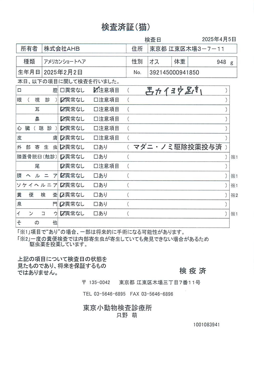 アメリカンショートヘア