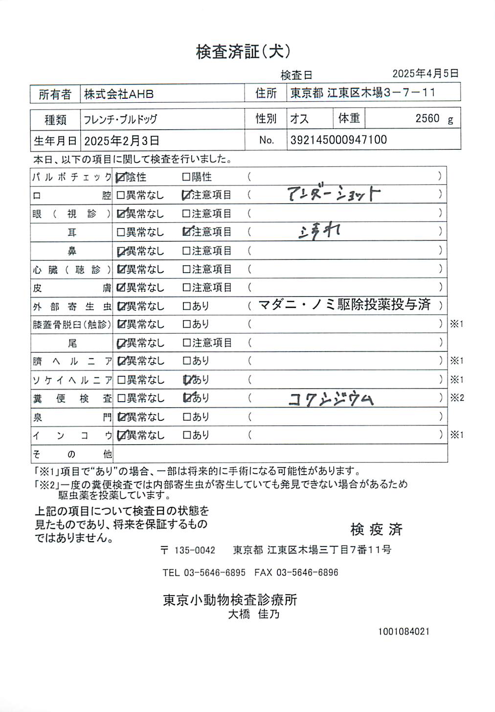 フレンチ・ブルドッグ