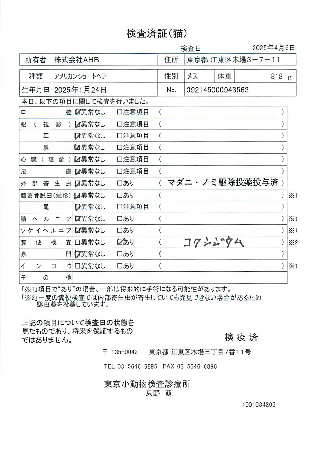アメリカンショートヘア