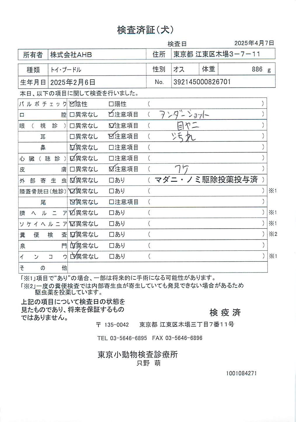 トイ・プードル
