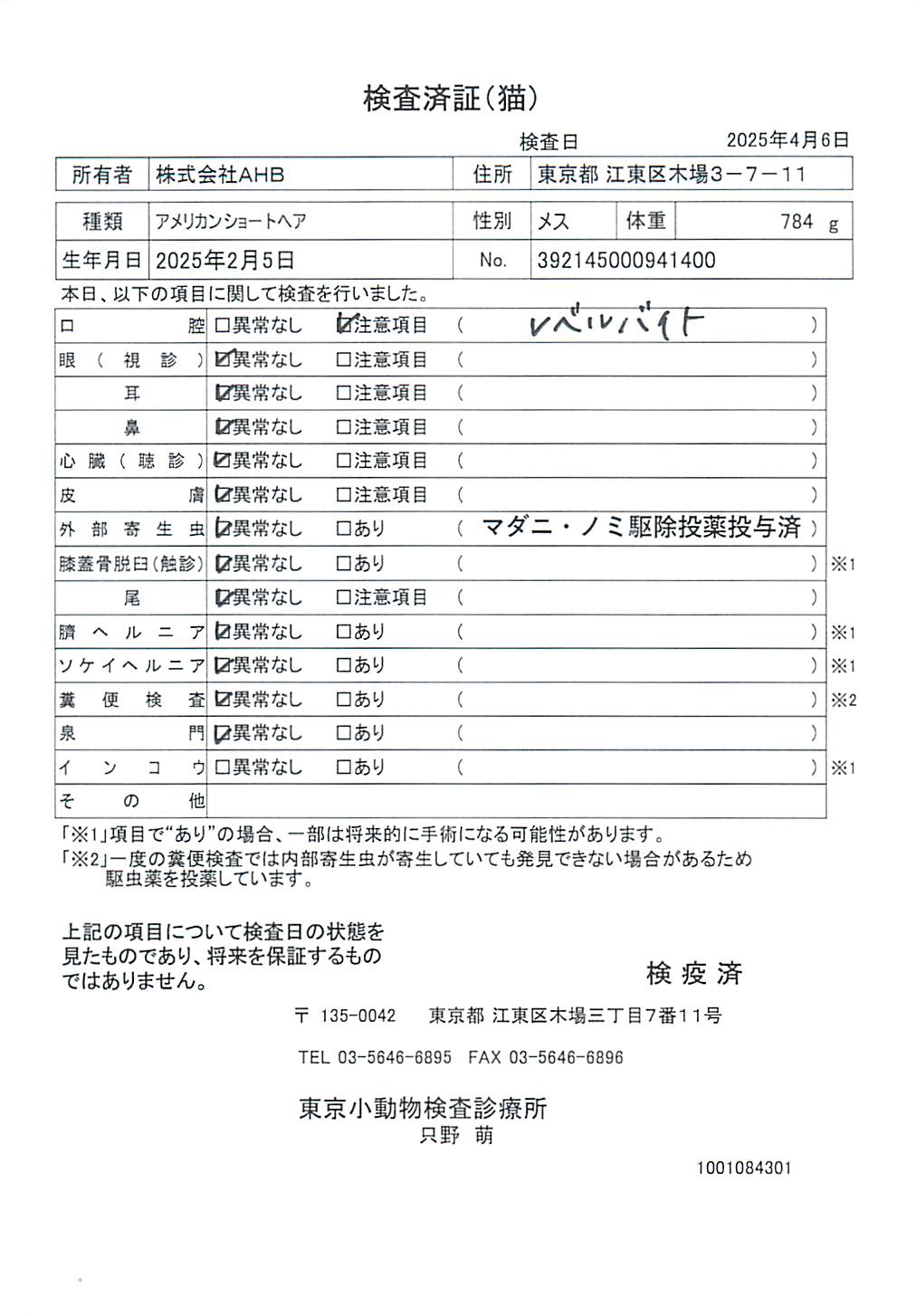 アメリカンショートヘア