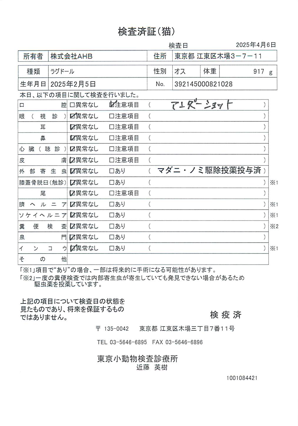 ラグドール