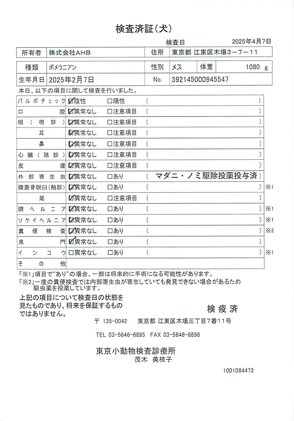 ポメラニアン