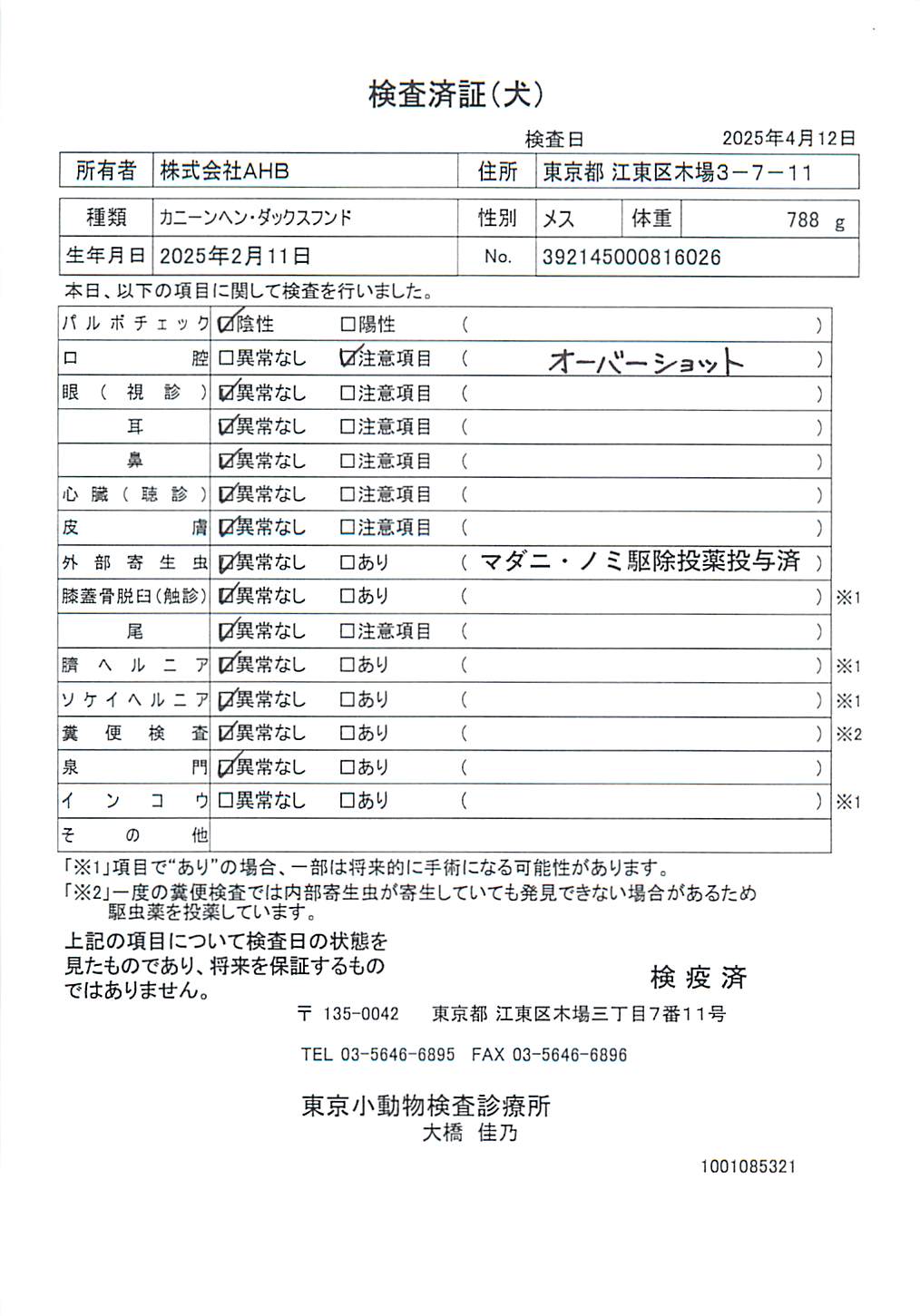 カニーンヘン・ダックスフンド