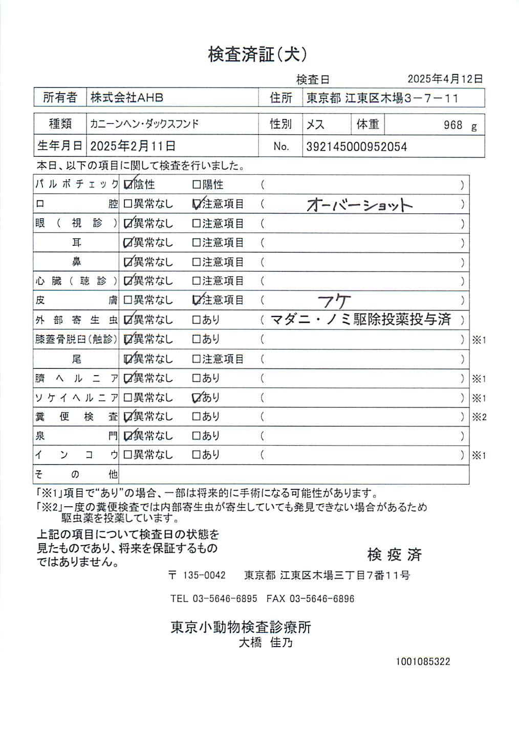 カニーンヘン・ダックスフンド