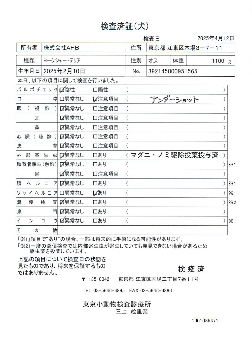 ヨークシャー・テリア