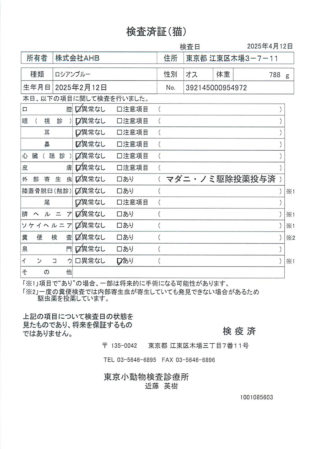 ロシアンブルー