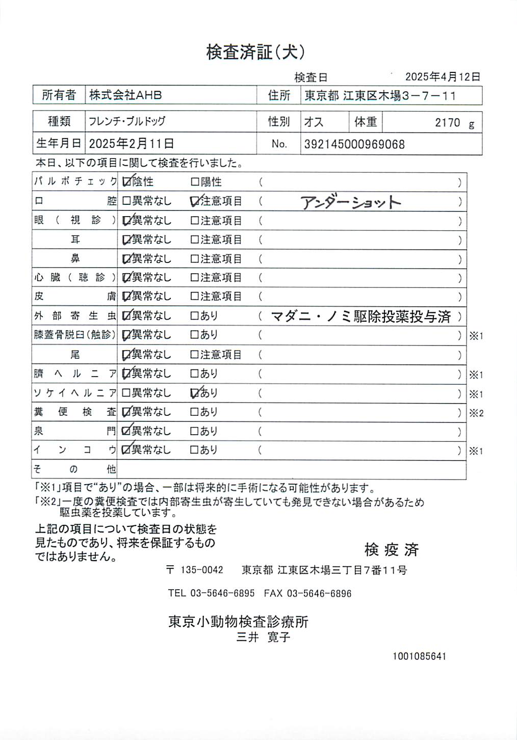 フレンチ・ブルドッグ
