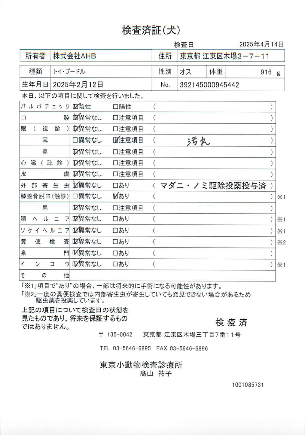 トイ・プードル