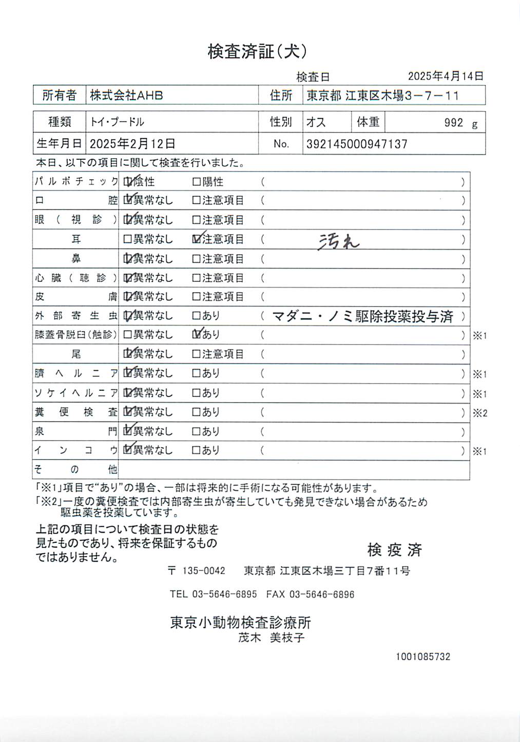 トイ・プードル
