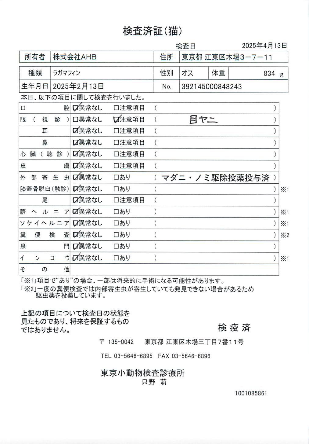 ラガマフィン