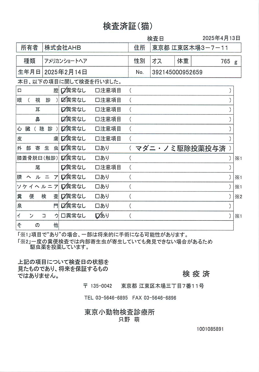 アメリカンショートヘア