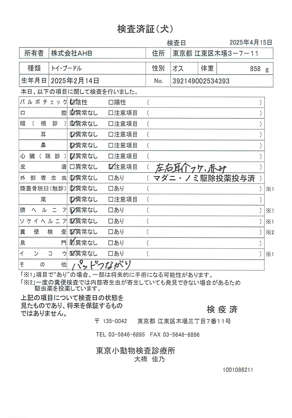 トイ・プードル