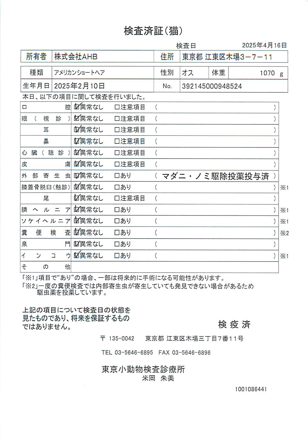 アメリカンショートヘア