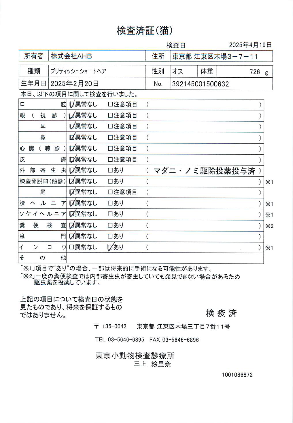 ブリティッシュショートヘア
