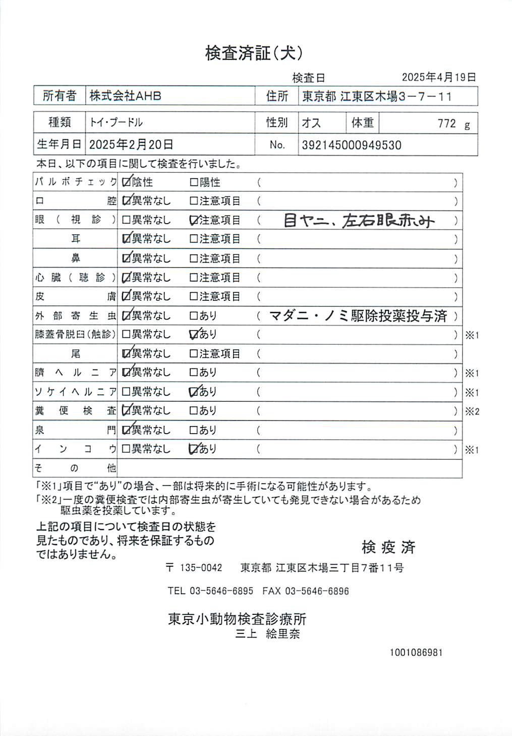 トイ・プードル