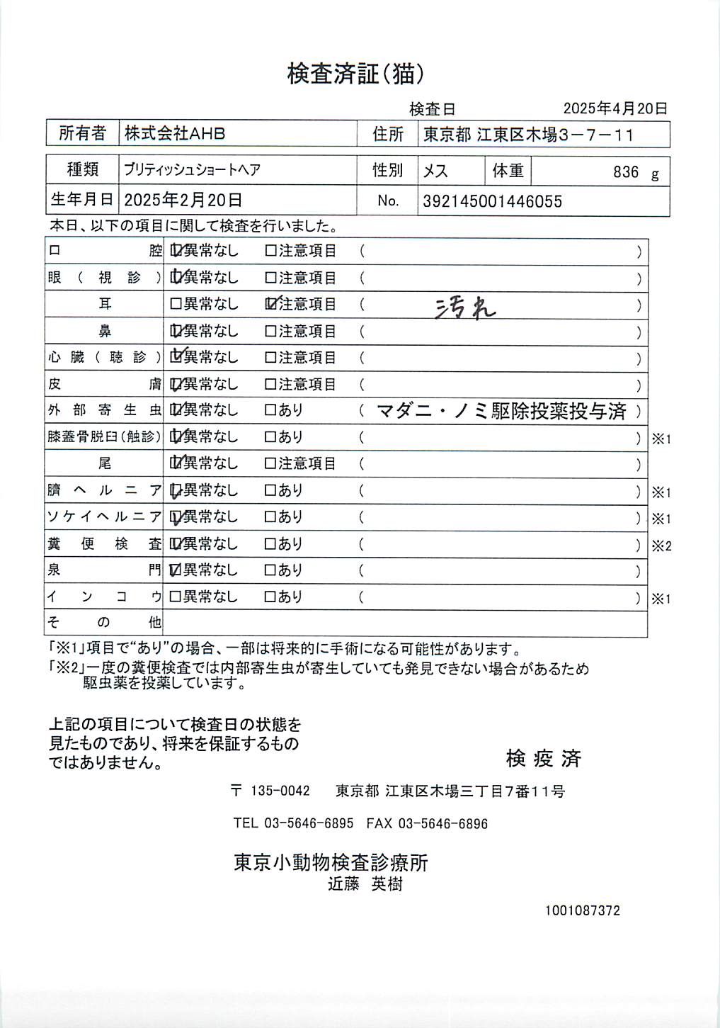 ブリティッシュショートヘア