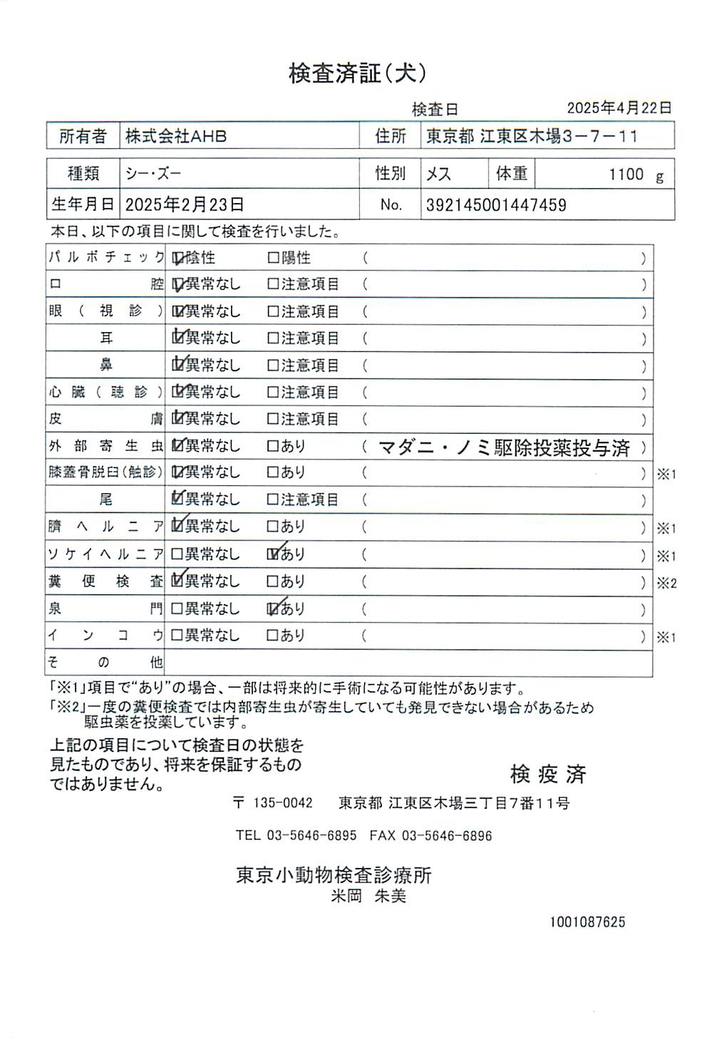シー・ズー